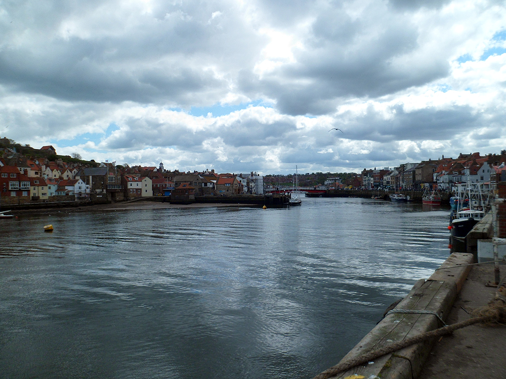 Whitby Harbour (3)