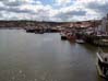 Whitby Harbour (5)