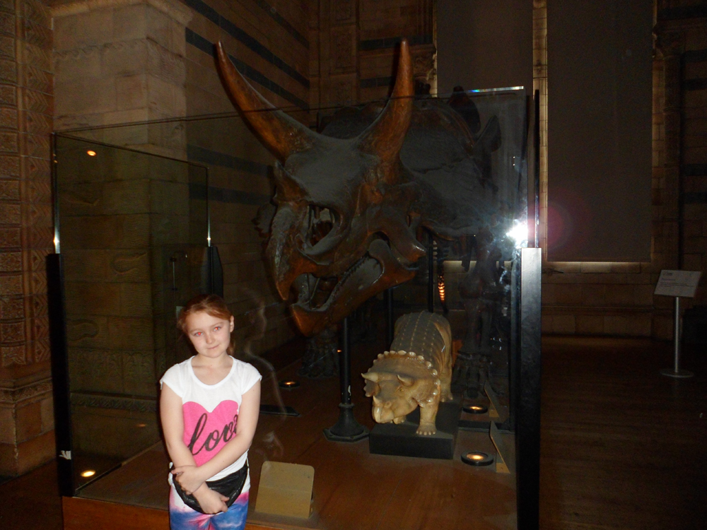SAM_0264